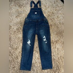 Wallflower Denim Overalls